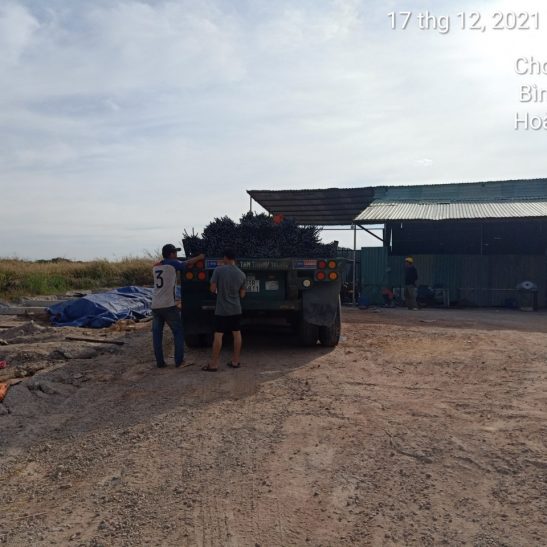 Giá thép Đông Á phi 16