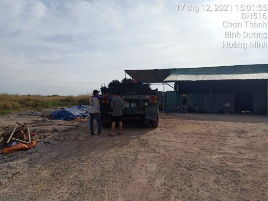 Giá Thép Hòa Phát Phi 25 4 Giá Thép Hòa Phát Phi 25