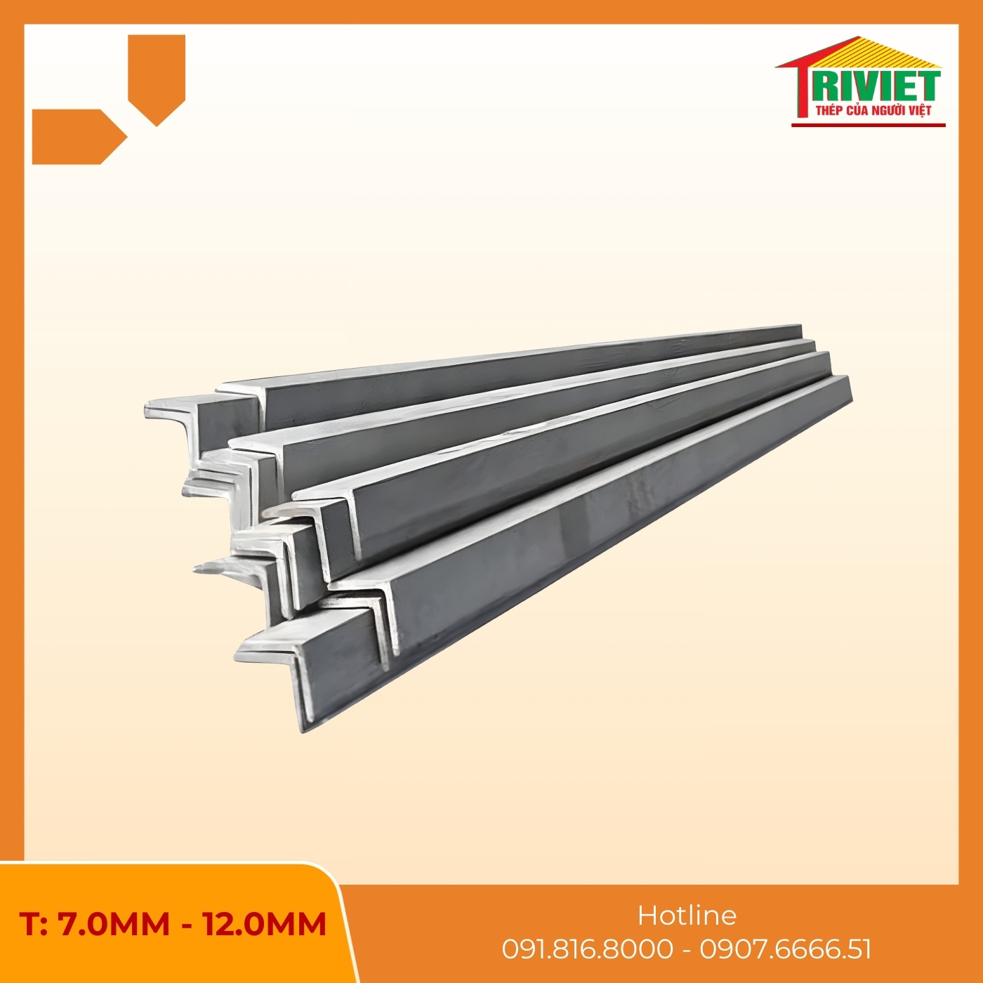 Thép Hình V100 4 Thep Hinh V100 1